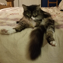 Frosty_n_Friends-Frosty_and_Friends_Modpack icon