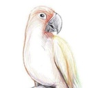 Fuccitdood-FuccitdoodSuits icon