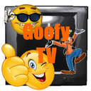 FullricerMods-Goofy_TV icon