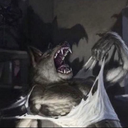 Fungal_Fellows-Lethal_Gamer_Moment icon