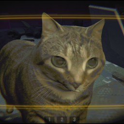 FunkyFontanez-Oiia_Cat_Valuable_with_oiia_features icon