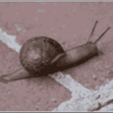 FursRUs-DisasterModPack icon