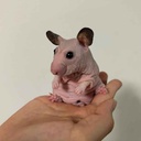 FusionLLC-MoreMobs icon