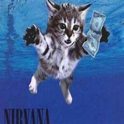 GLuey_duey-Gluey_duey icon