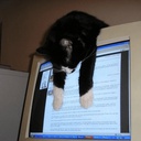 GP-InsideJokeChannel icon