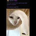 Gacu8000-GacuModpack icon