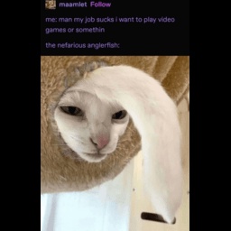 Gacu8000-GacuModpack icon