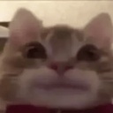 GallosFC-GallosFCModPack icon