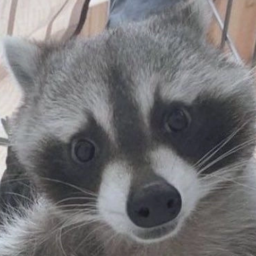 GameShop-GameShop icon