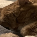 GameZone-GameZoneModpack2 icon