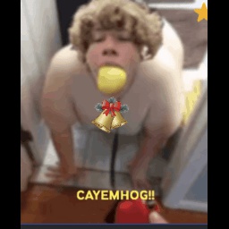 Gamelord-BDR_Pack icon