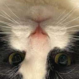 Gamers69-GroupGamingMods icon