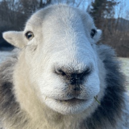 GamingCompany-Gaming_Company_Modpack icon