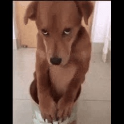 GangbangGangsters-GGModpack icon