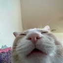 GarStudios-Cat_Robe icon