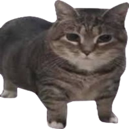 GarStudios-Oiia_Cat_Valuable icon