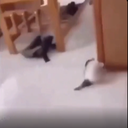 Garbab-GarbGeos icon