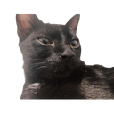 GatekeeperCat-Cat_s_Refunkfied_ModPack_BASE icon