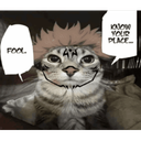 GatekeeperCat-Cat_s_Refunkfied_ModPack_COSMETICS-0.2.0 icon