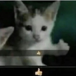 GatoStudio-Old_Ruins_Serhun icon