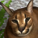 Gatohost-PetFloppa icon