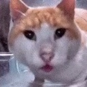 GaymersAndCo-GaymersPack icon