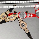 GeeEm-WWEBeltsPack icon