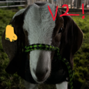 Geekin_raccoons-BoysThatGeekHarderThanFlintstoneGummiesV2 icon