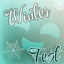 Geezt-WinterFest-1.0.5 icon