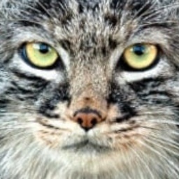 Generic_GMD-Manul_sheet icon