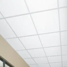 GenieTheDudeRadStuff-GoofyTV icon