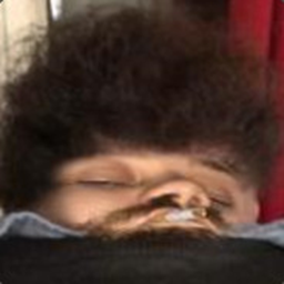 GermanHerring-German_Herring_Modpack icon