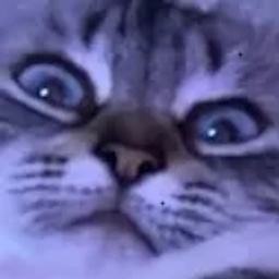 GillianAprils-CommunityModpackGilly icon