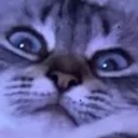 GillianAprils-GillysCommunityModpack icon