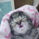 Giustizia-SCP_Haterz icon