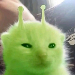 Gleeby_Club-GleebyClubHats icon