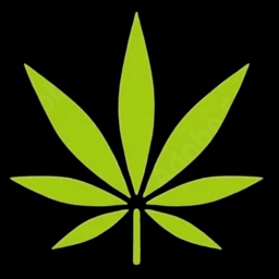 Glixtor_Studios-Smoke_Weed_Everyday_Old_Birds icon