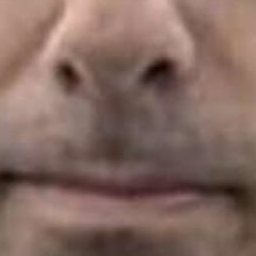 GlooshLanders-AidenGlooshBoomboxMod icon