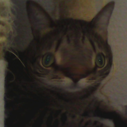 GnomeMemer1-GnomeSoundPack icon