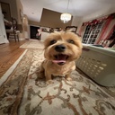 GodsGooners-ImGonnaSquillMyselfAGAINModpack icon