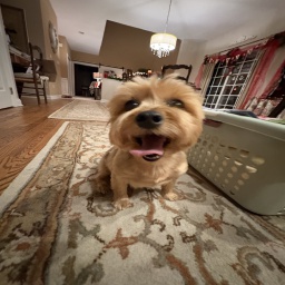 GodsGooners-ImGonnaSquillMyselfAGAINModpack icon