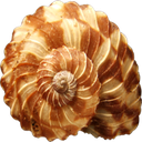 GoldenLand-GoldTV_Bonshow icon