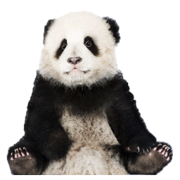 Goldpandacam-Cams_PandaPack icon
