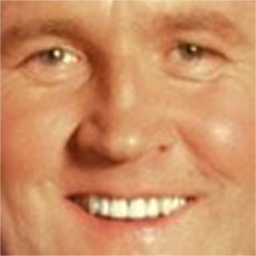 Gongo-Gongo_Company icon