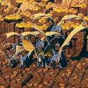 Gonsplitters-Gonsplitters_Blue_Dragons icon