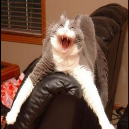 GooberTeam-QWERTYNormalMod icon