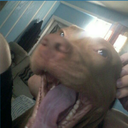 Goobies-GoobSuits icon