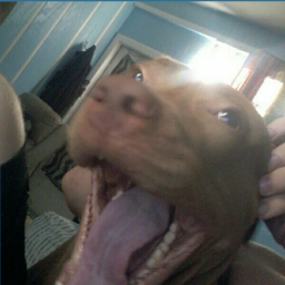 Goobies-GoobSuits icon