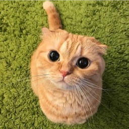 Good_team-Good_name icon