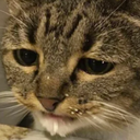 Gooncave-GOONERS icon